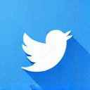 Twitter social media icon