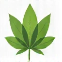 GreenLife logo